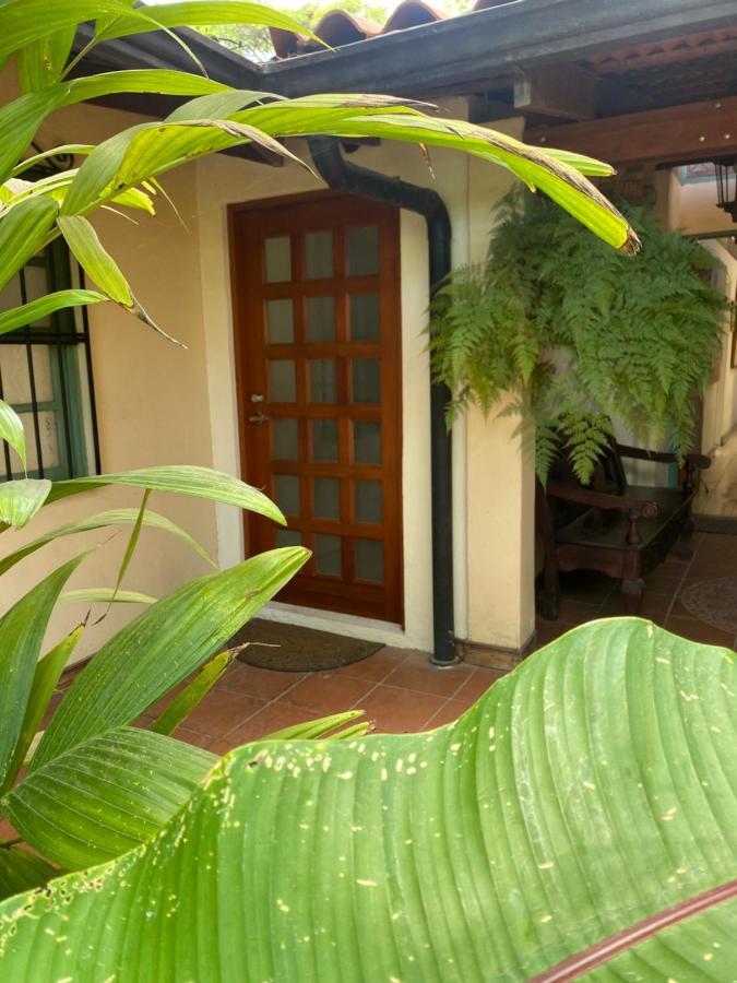 Tierra Magica B&B And Art Studio San José Exteriör bild
